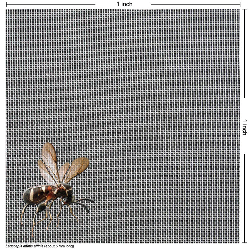 Insect Net with various colors and pore sizes Insect Net with various colors and pore sizes