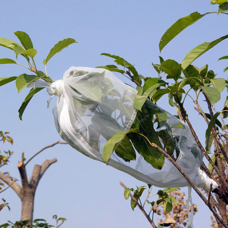 Insect rearing bag L40 x W20cm DC3000W-S Insect rearing bag L40 x W20cm DC3000W-S