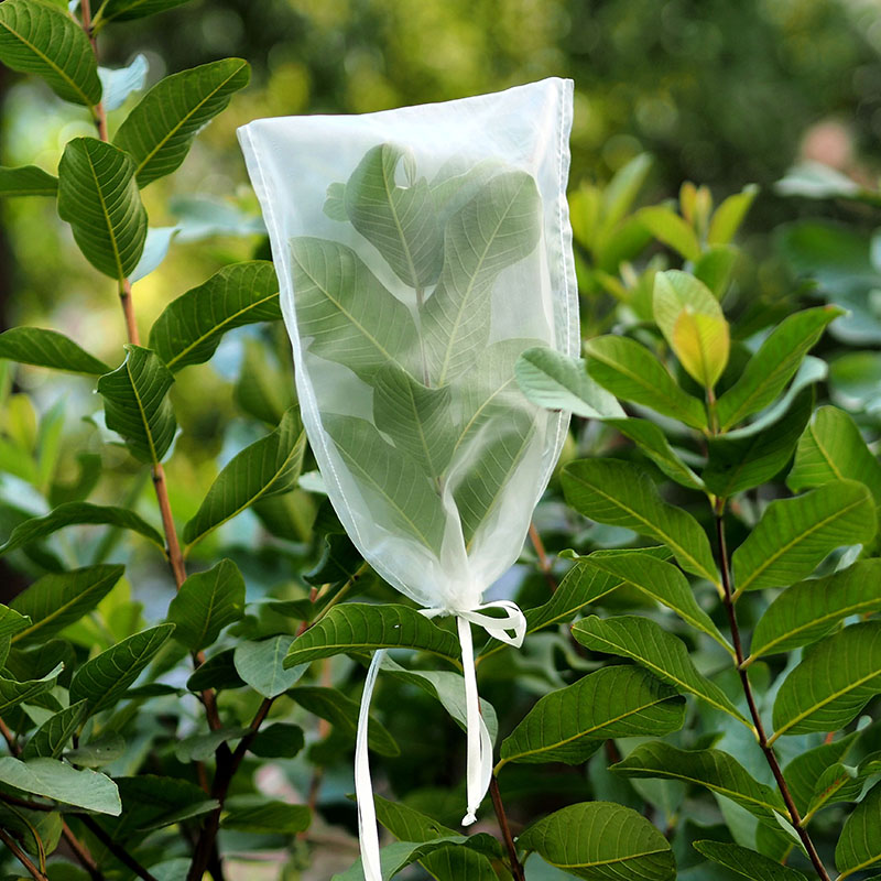 Insect rearing bag (L30 x W20cm) DC3220 Insect rearing bag (L30 x W20cm) DC3220