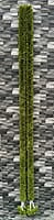Fabric String Fabric String