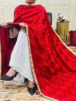Chinon Single Tone Shaded Jaal Phulkari Dupatta-1 Chinon Single Tone Shaded Jaal Phulkari Dupatta-1