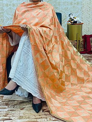 Chinon Single Tone Shaded Jaal Phulkari Dupatta-2 Chinon Single Tone Shaded Jaal Phulkari Dupatta-2