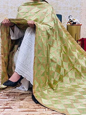 Chinon Single Tone Shaded Jaal Phulkari Dupatta-9 Chinon Single Tone Shaded Jaal Phulkari Dupatta-9