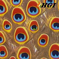 DS285-0.5M Width Transfer Printing Film