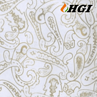DS930-0.5M Width Transfer Printing Film DS930-0.5M Width Transfer Printing Film