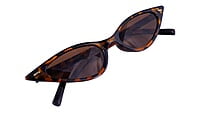 Soigné Female Small Cat Eye Sunglasses.Leopard Print.Brown Lens Soigné Female Spectacle & Sunglasses Strings.Black&Transparent.Set Of 2 Soigné Female Small Cat Eye Sunglasses.Leopard Print.Brown Lens Soigné Female Spectacle & Sunglasses Strings.Black&Transparent.Set Of 2