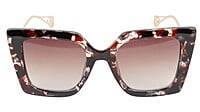 Female Oversized Square Sunglasses. Multi Color Rim. Golden Temple Female Oversized Square Sunglasses. Multi Color Rim. Golden Temple