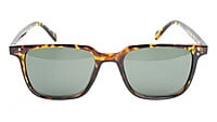 Unisex Medium Square Sunglasses. Tortoise Print Frame. Unisex Medium Square Sunglasses. Tortoise Print Frame.