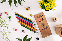 Color Paper color lead Pencils Eco-Friendly Pencil for Kids School |wood-free pencils Box (pack of 10)