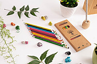 Color Paper color lead Pencils Eco-Friendly Pencil for Kids School |wood-free pencils Box (pack of 10)