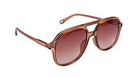 designer sunglass designer sunglass