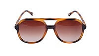 fashion sunglasses fashion sunglasses