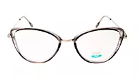 Soigné Female Large Cat Eye Spectacle Frame.Clear Gray&Silver