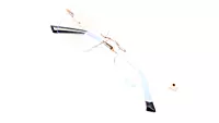 Soigné Unisex Medium Rimless Rectangular Spectacle Frame.Black&Gold