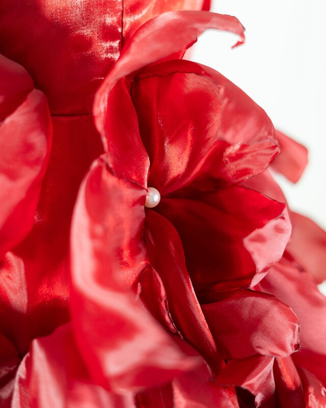 Ruby Petal Dress Ruby Petal Dress