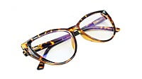 Female Oversize Cat Eye Spectacle Frame. Leopard Print Female Oversize Cat Eye Spectacle Frame. Leopard Print