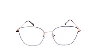 Soigné Female Medium Cat Eye Spectacle Frame.Black&Golden Metal Frame