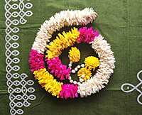 Lily Garland Lily Garland