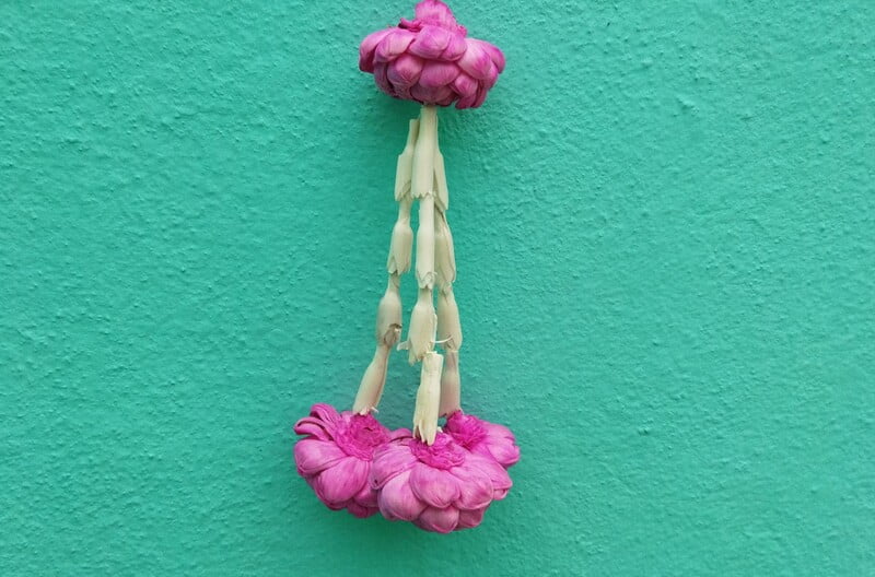 Open Lotus Flower with Lilly Strings Open Lotus Flower with Lilly Strings