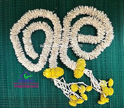 Reusable Lilly With Hanging