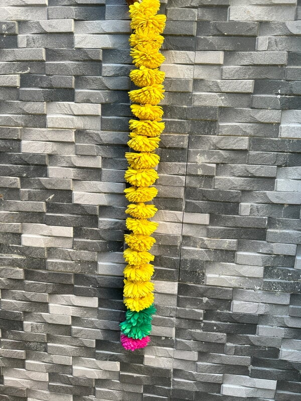 Marigold Hanging Marigold Hanging