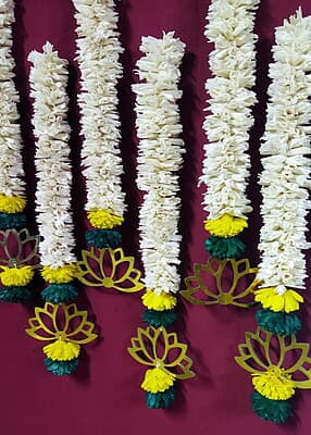 Lilly With Lotus Hanging