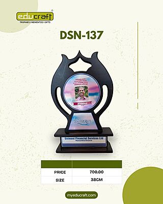 DSN-137 38CM 12%