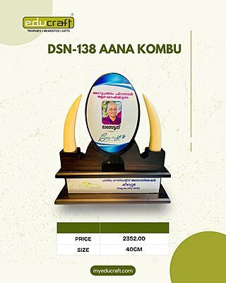 DSN-138 AANA KOMBU 40CM 12%