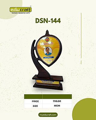 DSN-144 41CM 12%
