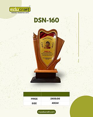 DSN-160 49CM 12%