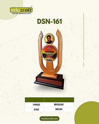 DSN-161 45CM 12%