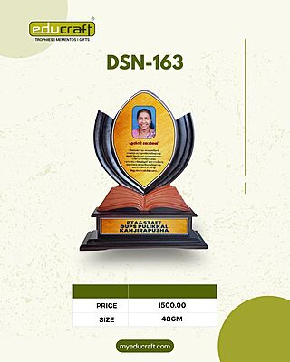 DSN-163 48CM 12%