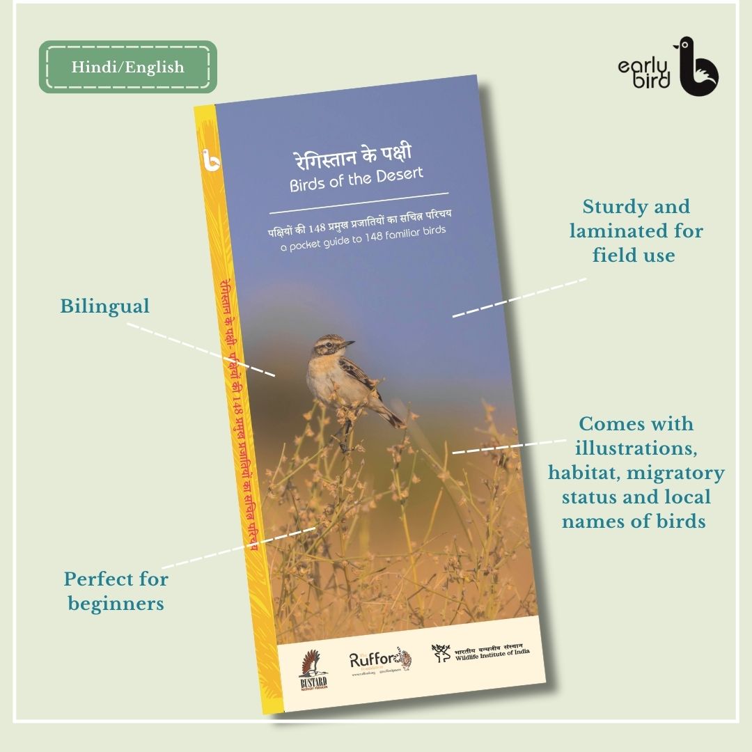Early Bird Pocket Guides Early Bird Pocket Guides