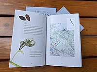 Last Ones Standing: Eleven threatened trees of the Western Ghats Rainforests