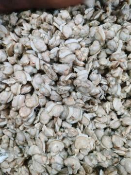 ELAMBAKA MEAT -500gm