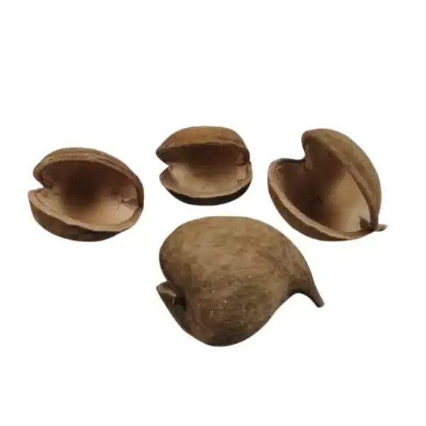 LeafnDeor dried Buddha nut shells, natural home decor, potpourri, and eco-friendly craft projects LeafnDeor dried Buddha nut shells, natural home decor, potpourri, and eco-friendly craft projects