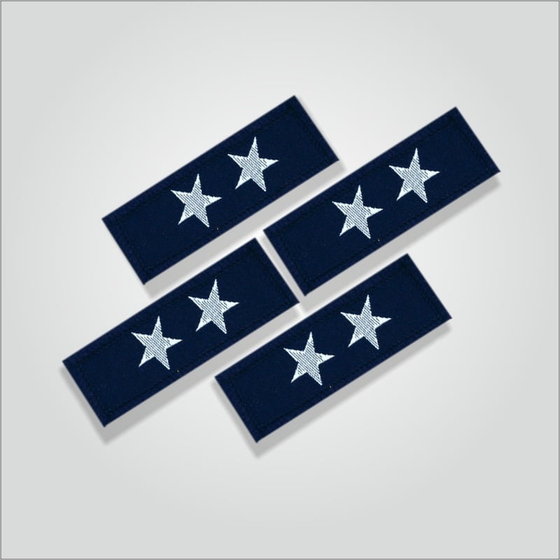 Charan Badges Dwitiya