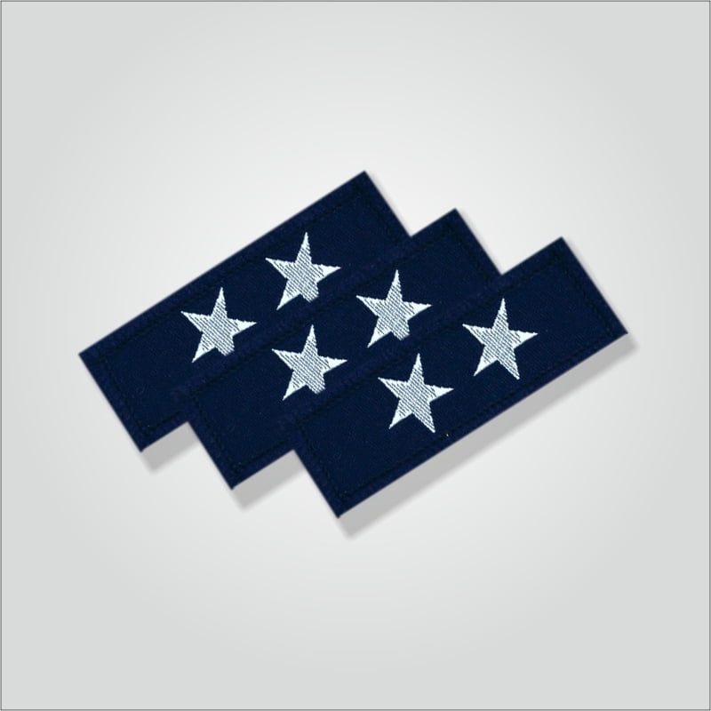 Charan Badges Dwitiya