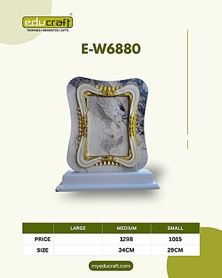 E-W6880S 29CM 18%