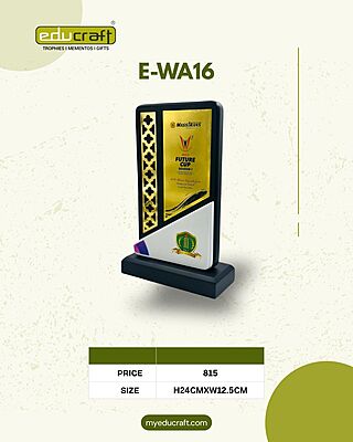 E-WA16 (H24CMXW12.5CM)