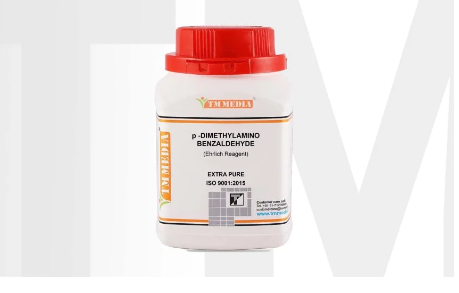Ehrlich Reagent
