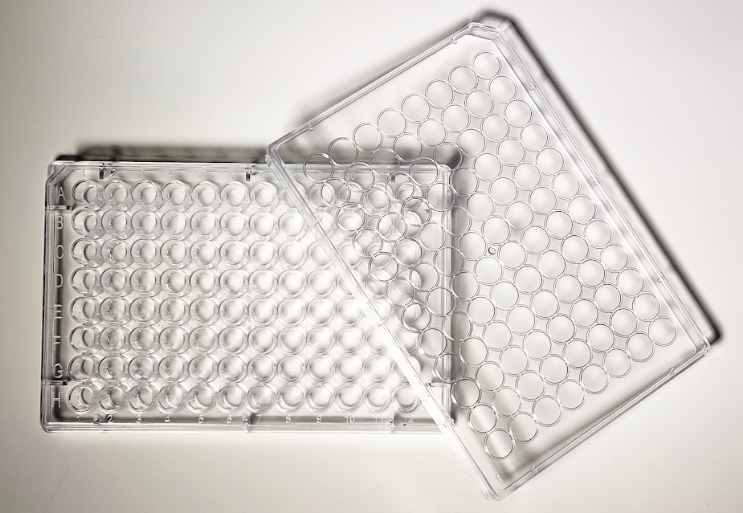 Elisa Plates Elisa Plates