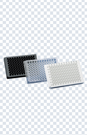 Elisa Plates Elisa Plates