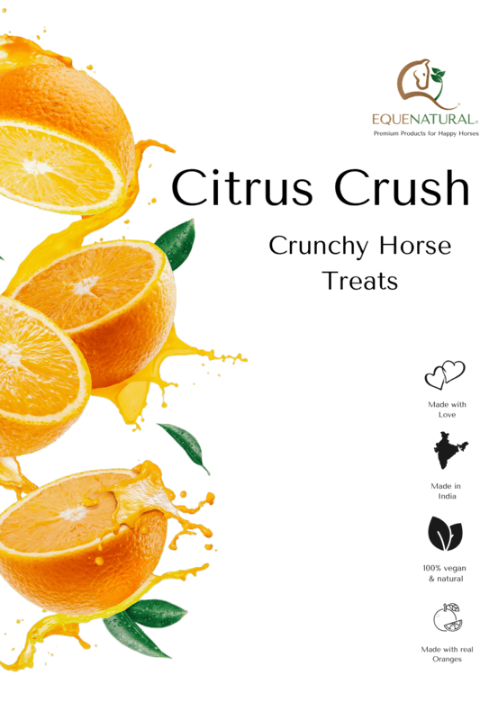 Equenatural Crunchy Horse Treats - Citrus Crush Equenatural Crunchy Horse Treats - Citrus Crush