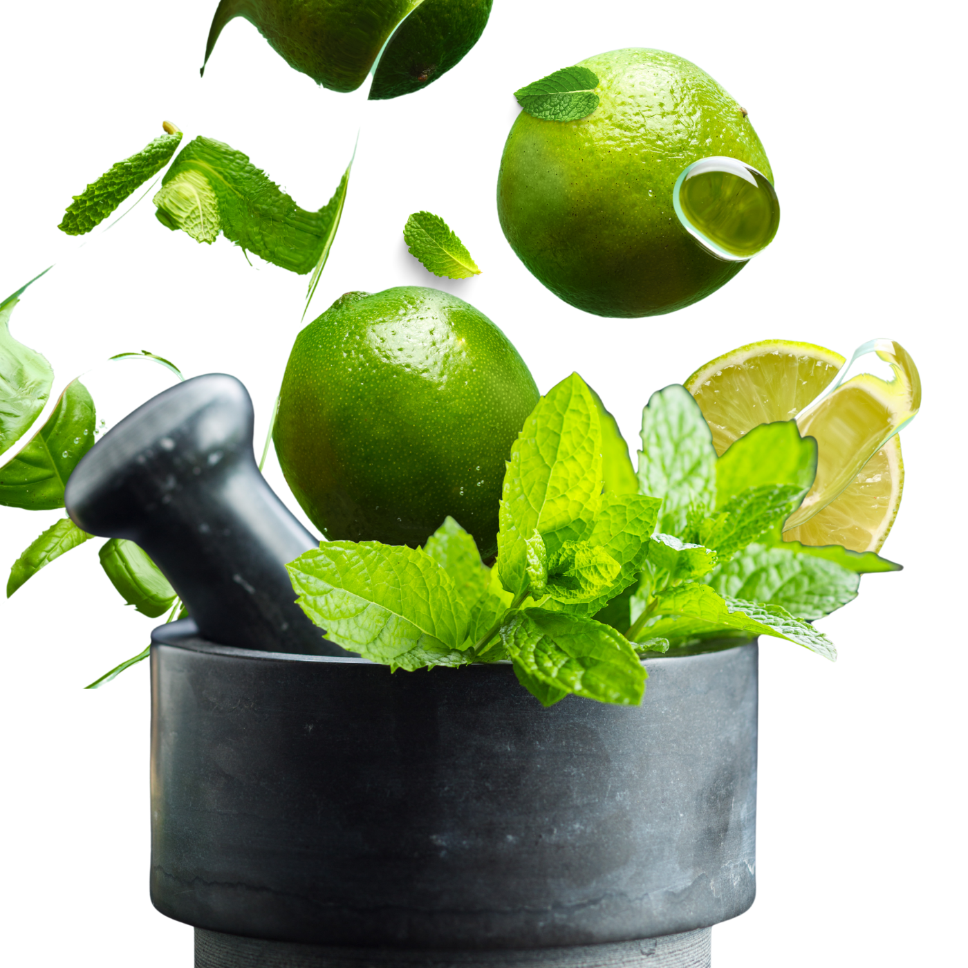 Equenatural Shampoo and Conditioner Lush Lemon and Mint Equenatural Shampoo and Conditioner Lush Lemon and Mint