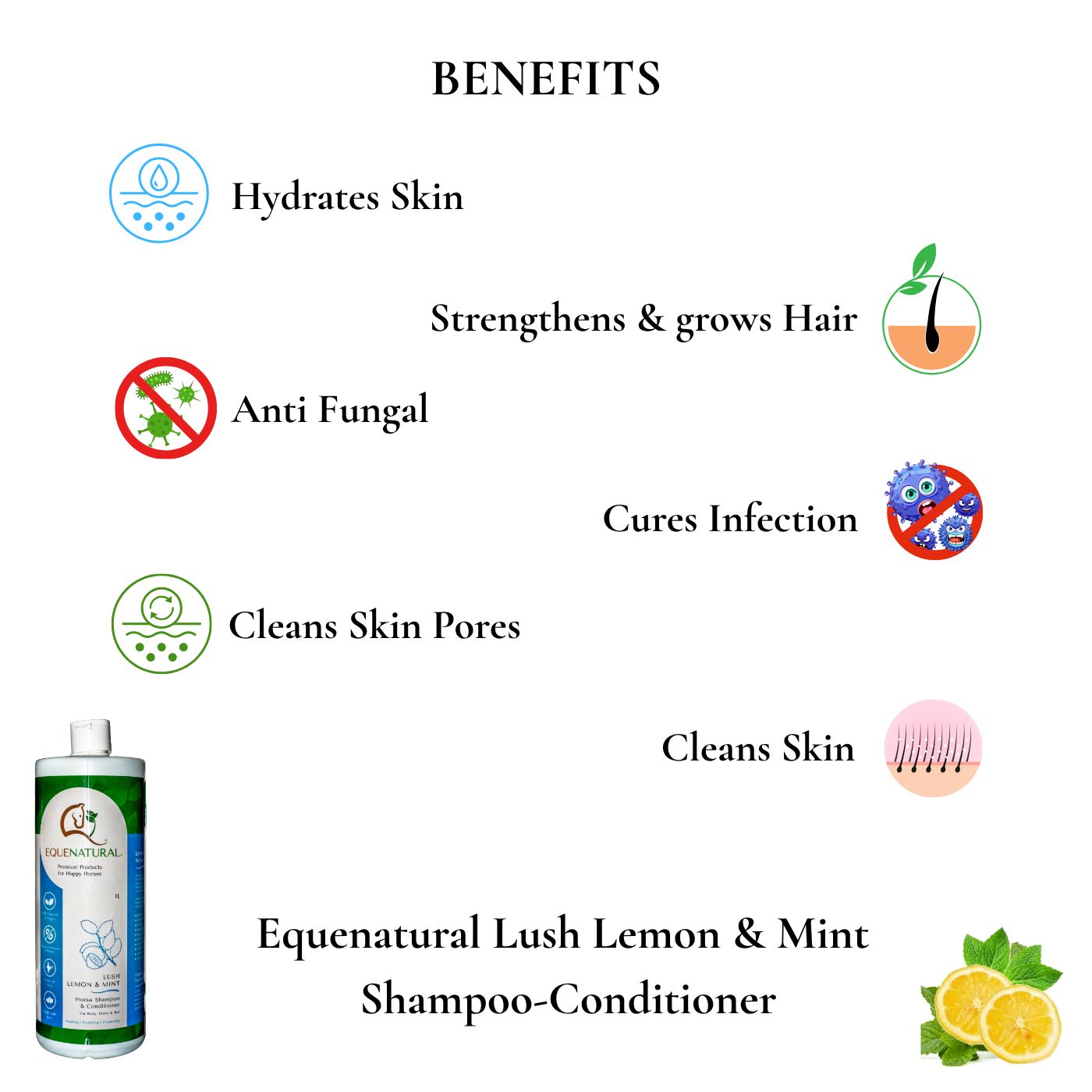 Equenatural Shampoo and Conditioner Lush Lemon and Mint Equenatural Shampoo and Conditioner Lush Lemon and Mint