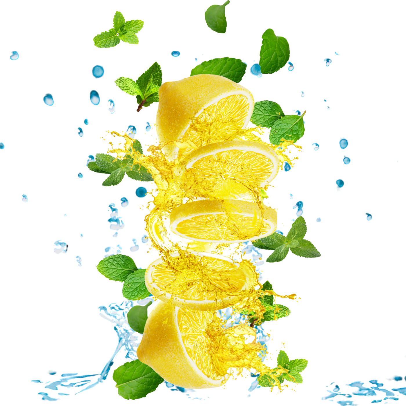 Equenatural Shampoo and Conditioner Lush Lemon and Mint