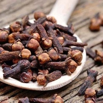 Lavanga-Clove Lavanga-Clove