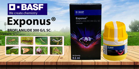 BASF - Exponus Insecticide - 8.5 ml