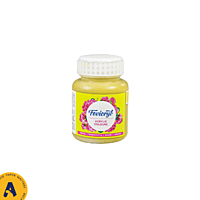 Fevicryl Acrylic Colour 100 ML Fevicryl Acrylic Colour 100 ML
